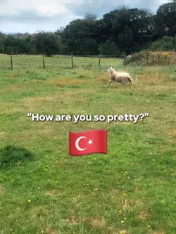 Changeable flag