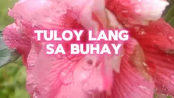 Tuloy lang sa buhay