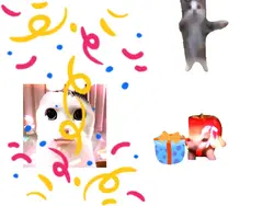 Happy birthday cat 2