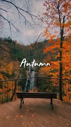 Autumn