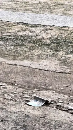 Mẫu 2video
