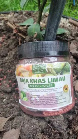 Baja Khas limau