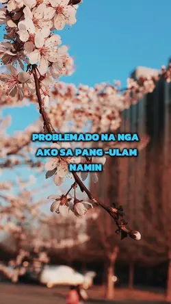 Reels Pa More