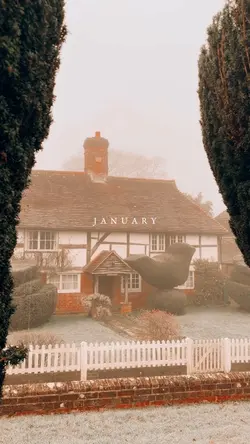 January winter vibes