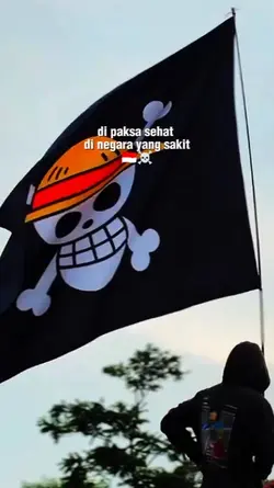 one peace bahan sw