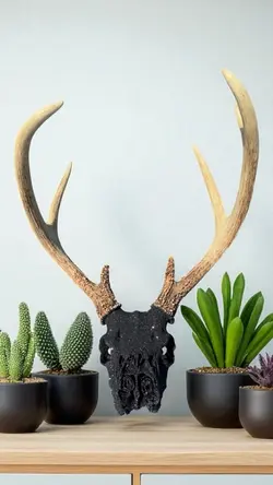 Deer Antlers 