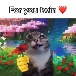 For You Twin ❤️ 