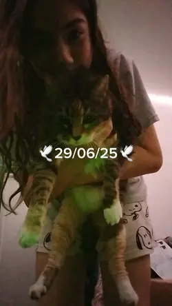 mon chat