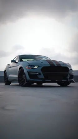 trend car