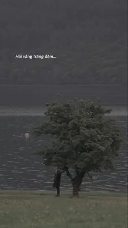 Hỏi vầng trăng đêm 