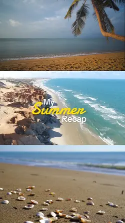 summer recap