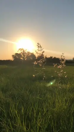 music video 