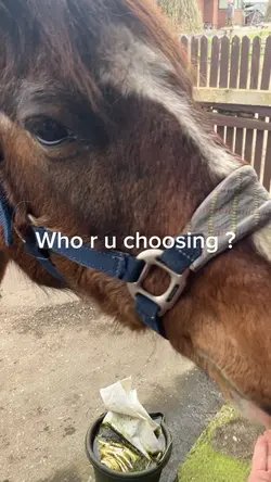  ♥️♥️♥️