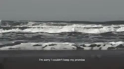 I'm sorry..