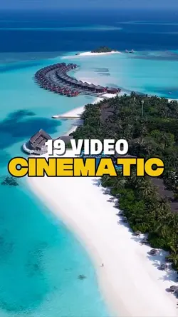 19 VIDEO CINEMATIC 