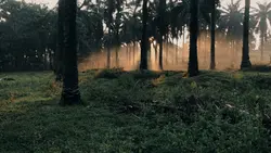 aesthetic pagi slow