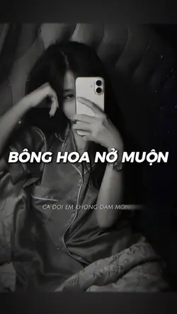 Bông Hoa Nở Muộn