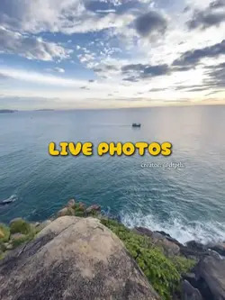 live photos
