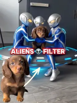 Aliens 👽 