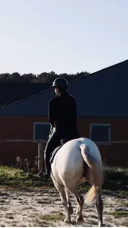 Supprimer les vidéos
