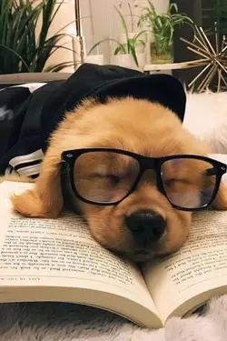 stress