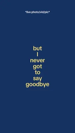 butinevergottosaygoo