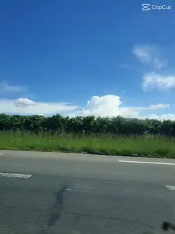 réel 