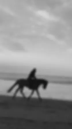 🐎