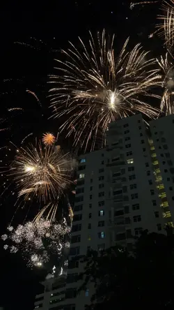 Fireworks Display✨