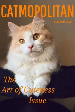 Catmopolitan 