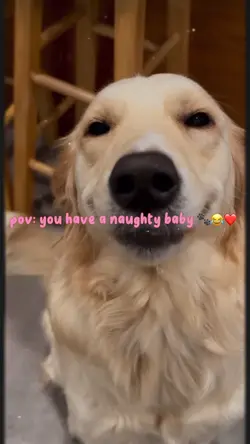 doggy ❤️