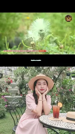 cô gái à em đừng 