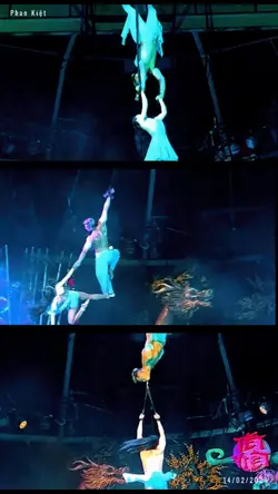 MẪU NHIỀU VIDEO