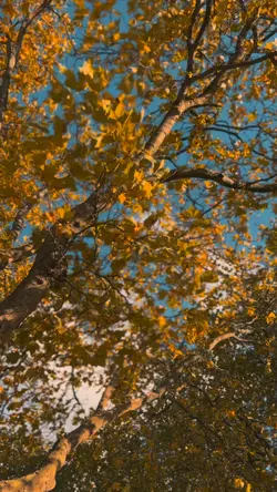 October dump