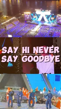 say hi never say