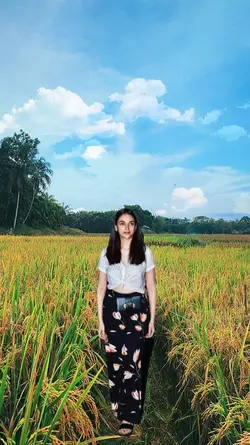 Poto estetik sawah