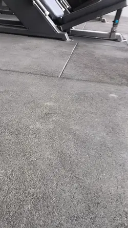 workout gym edit