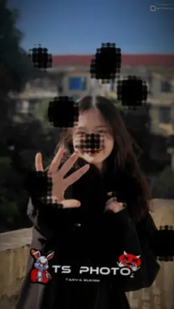 ฟีด