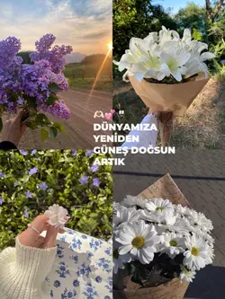 İnsanlar aşka küsmüş