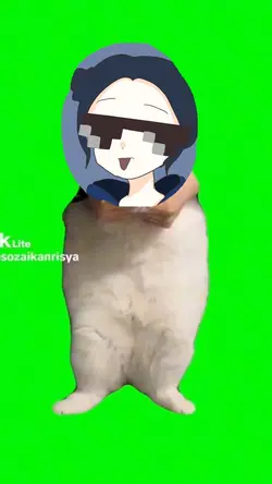 猫ミーム