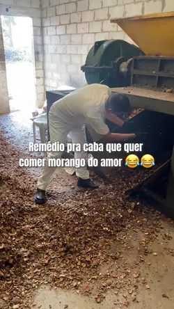 Morango do amor 