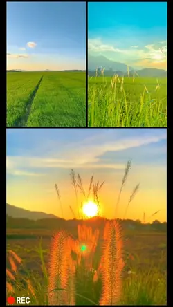 3 video chill