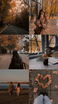 6 pictures