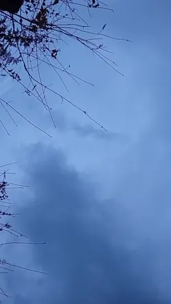 The rain~