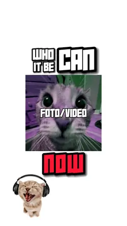 who can it be now?