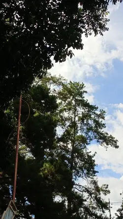 hujan tengah ahi