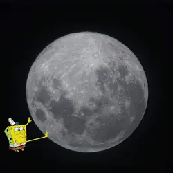 SpongeBob 