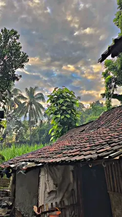 HD JERNIH