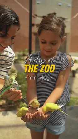A day at the Zoo