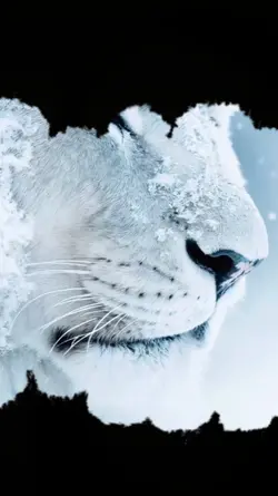 White Lion-Ai
Fadein